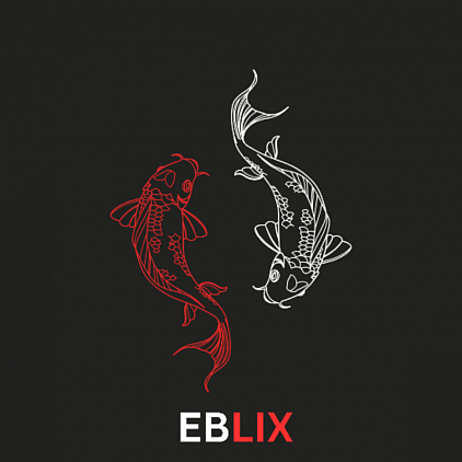 Eblix Software development